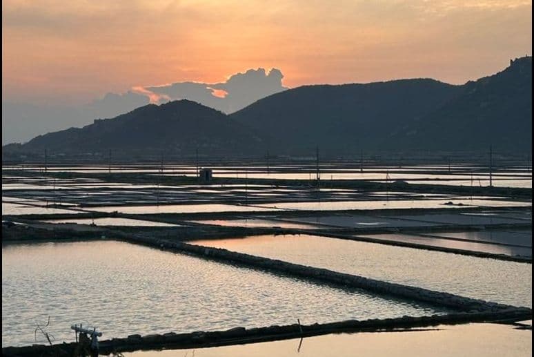 Ninh Thuận có gì chơi? Lịch trình 2 ngày 1 đêm quanh Mơ Homestay